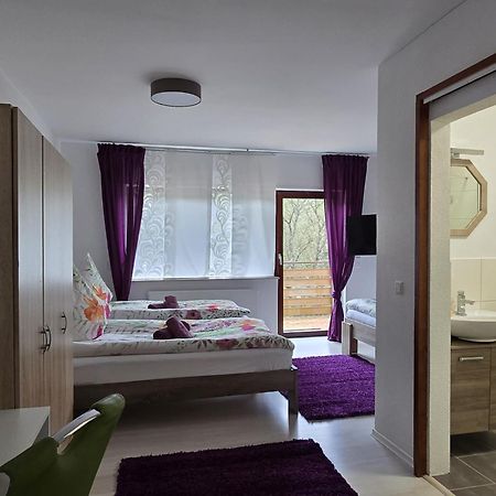La Casa Suciu Appartement Forchtenberg Buitenkant foto