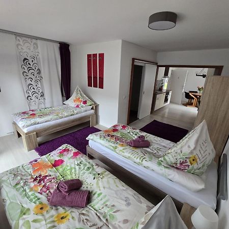 La Casa Suciu Appartement Forchtenberg Buitenkant foto